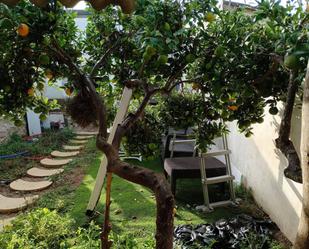 Jardí de Casa adosada en venda en Algaida amb Jardí privat, Terrassa i Moblat