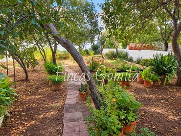 Casa amb jardí en venda a Fred