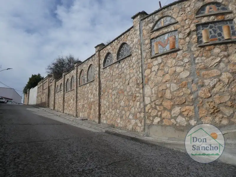 Exterior view of Houses for sale in Olivares de Duero