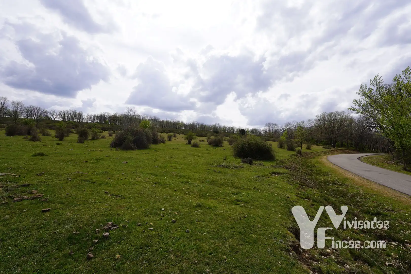 Terreno rústico en venta en Campillo de Ranas, imagen 4