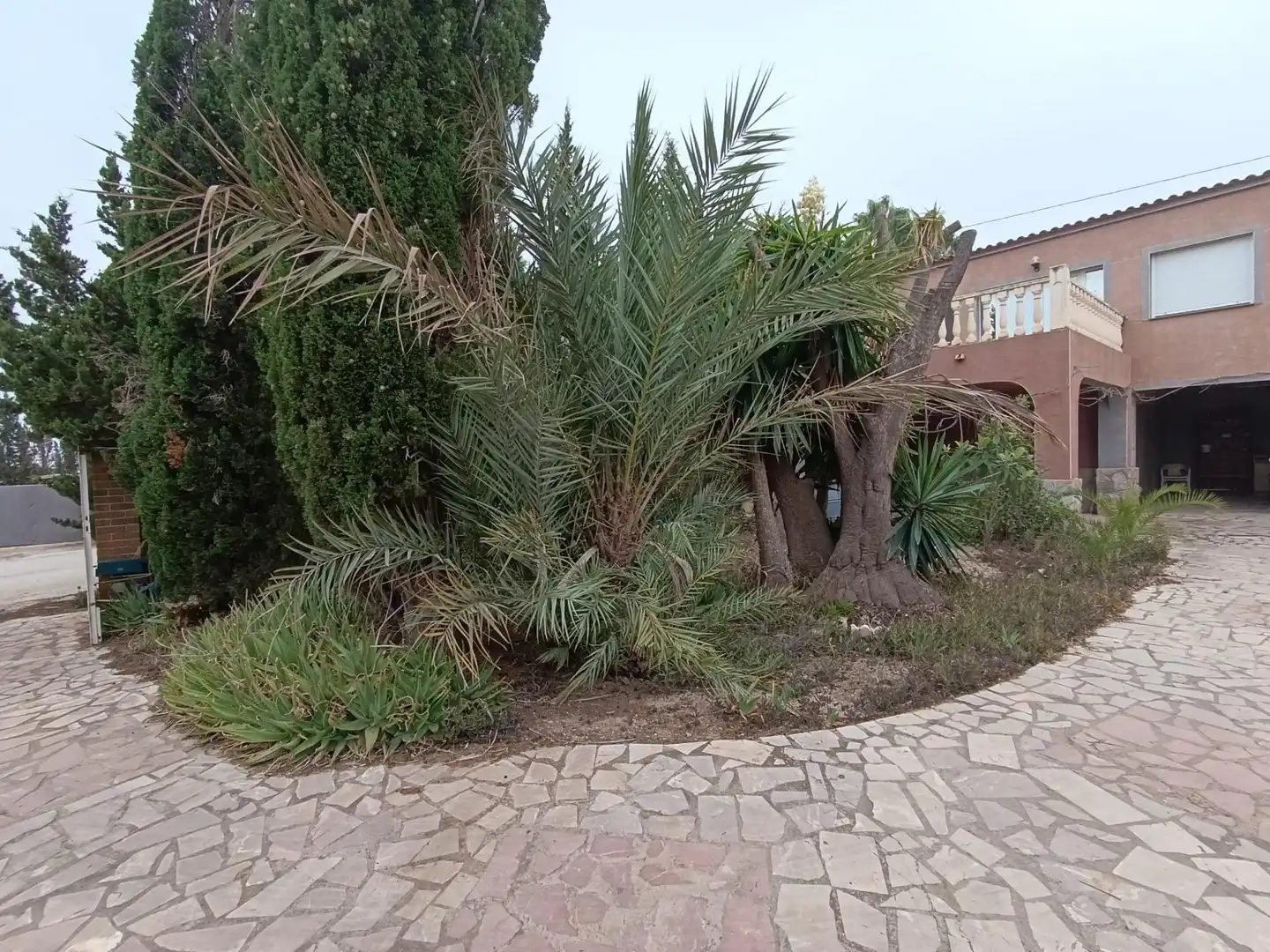 Jardí de Casa o xalet en venda en Elche / Elx amb Jardí privat, Terrassa i Traster