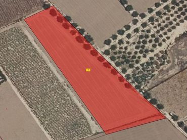 Wohnbaugrundstück zum Verkauf in Pedanías Centro