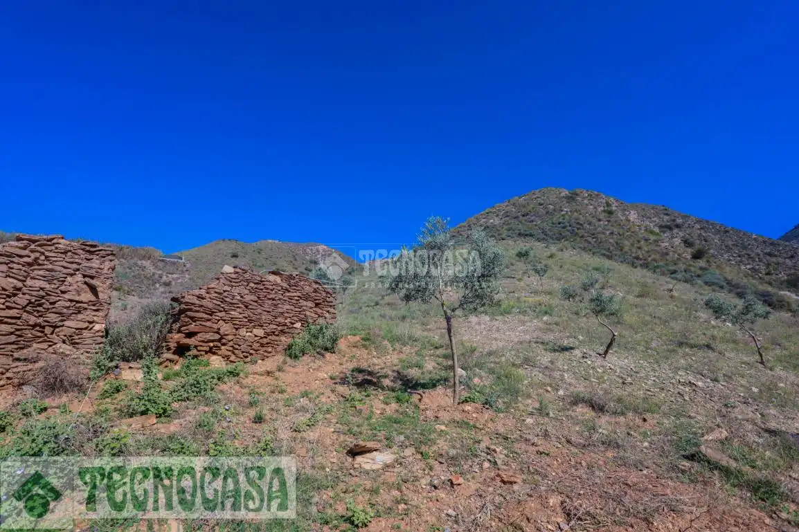Terreny rústic en venda a Adra, imagen 5