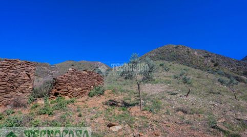 Terrenos en venta en Adra, immagine 5