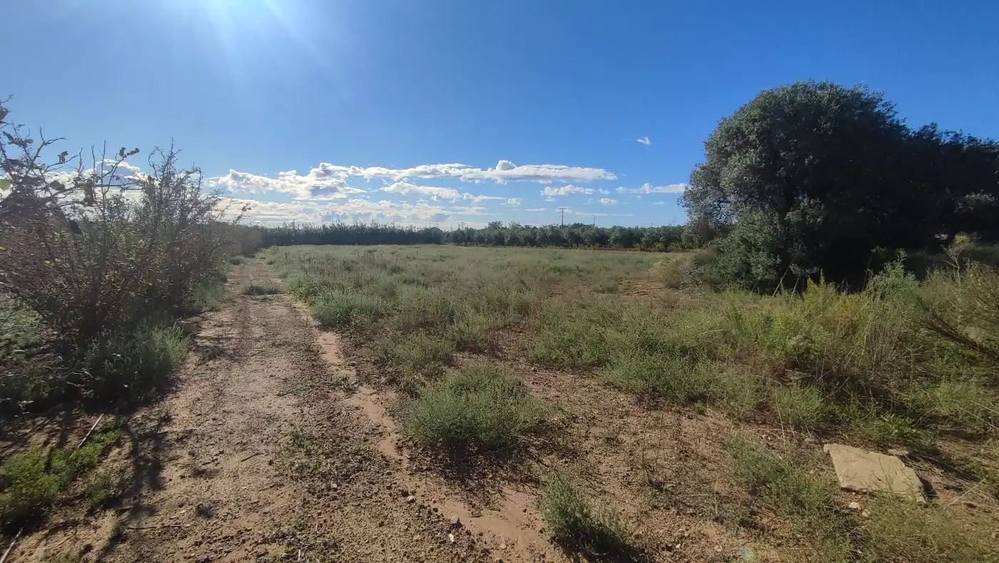 Finca rústica en venda en Constantí amb Jardí privat, Terrassa i Moblat