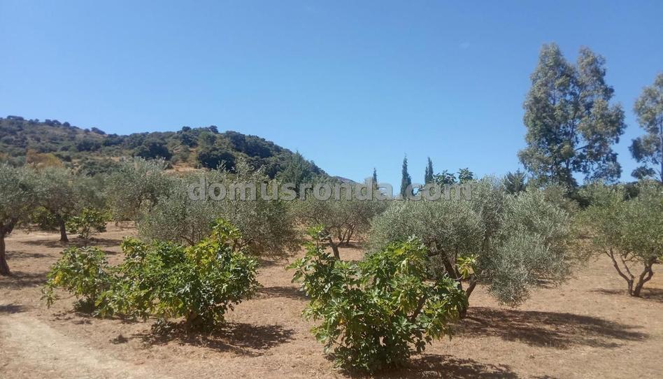 Photo 1 of Land for sale in Partidas Sur, Málaga