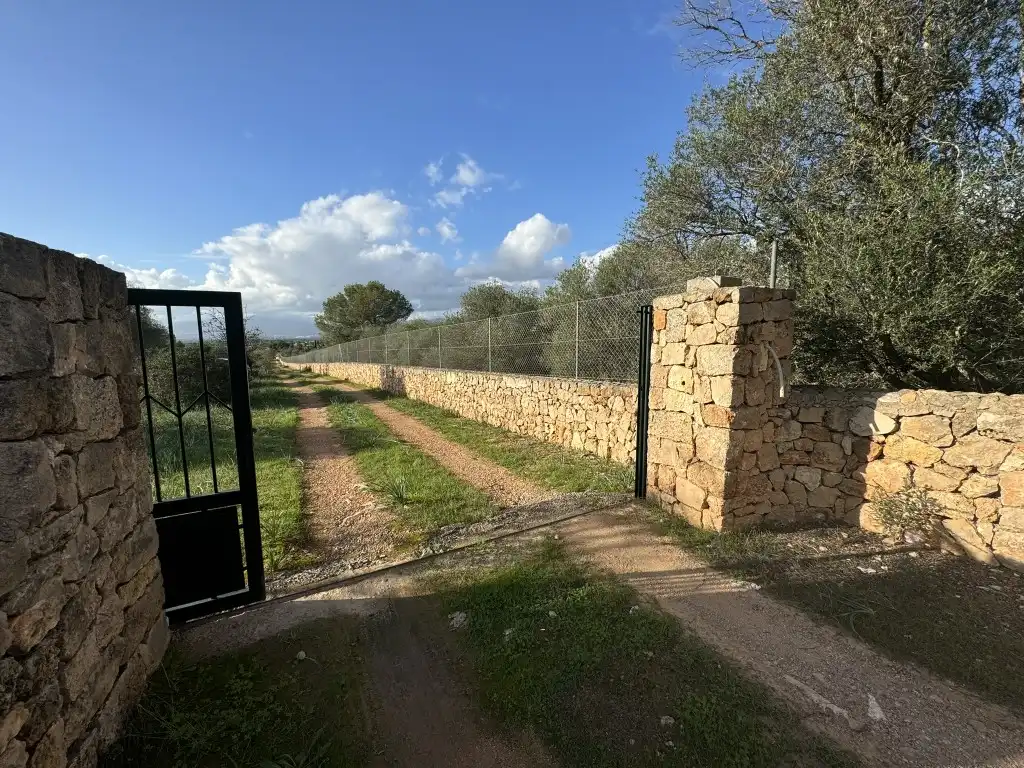 Terreny rústic en venda a Sa Cabaneta, imagen 3