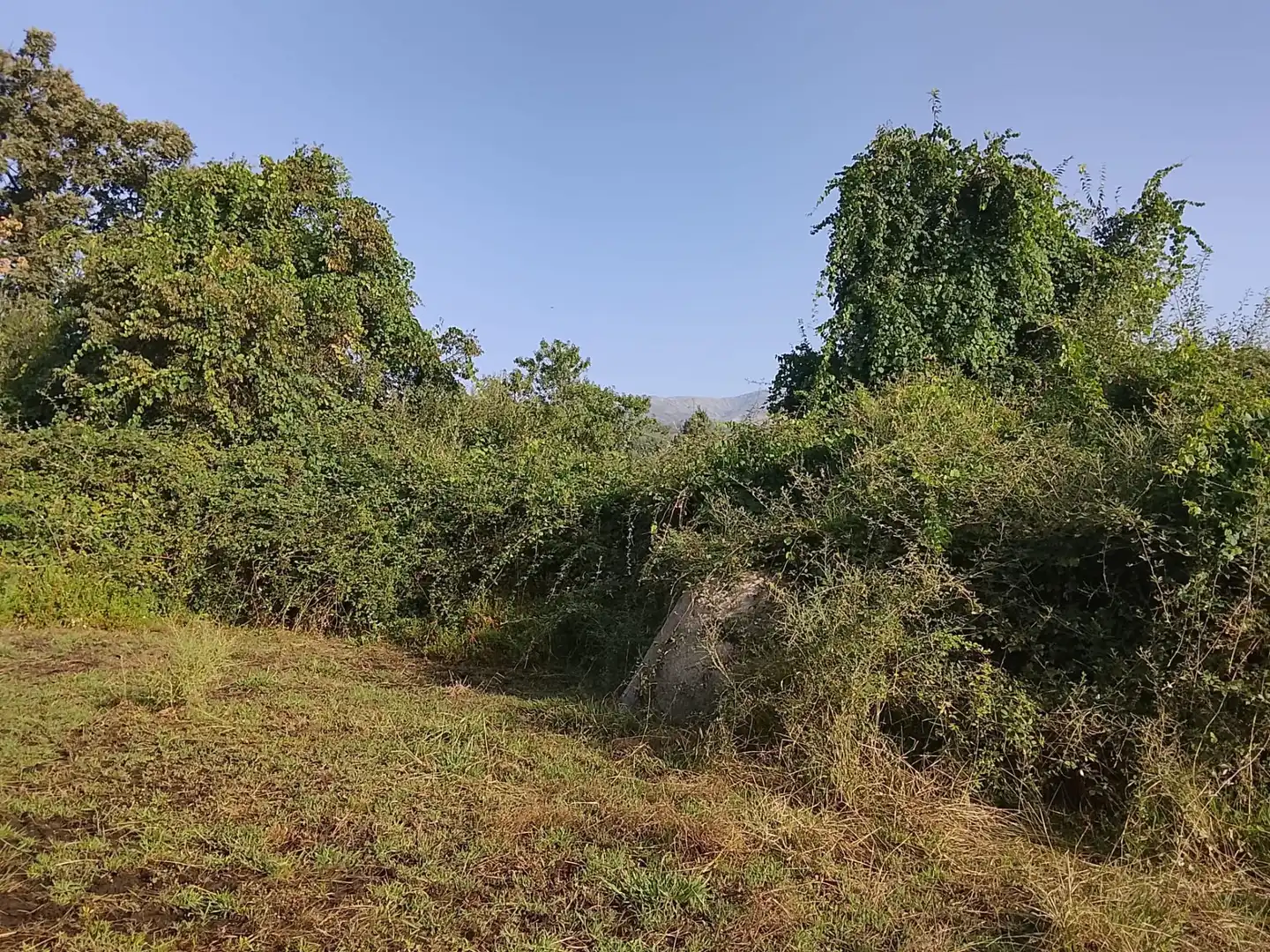 Terreni e lotti in vendita a Villanueva de la Vera, imagen 18