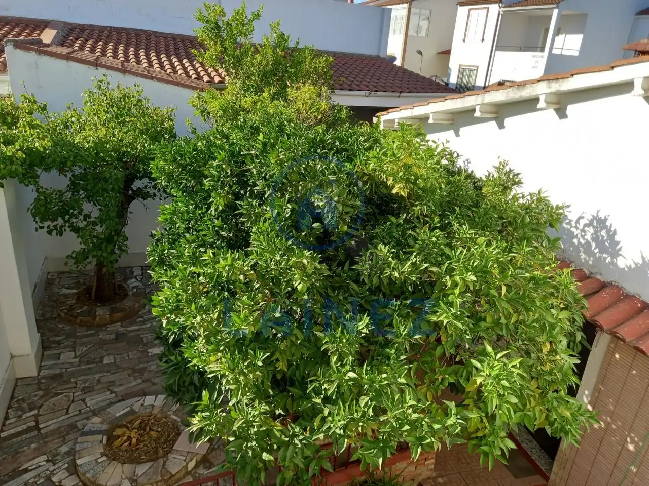 Jardí de Casa o xalet en venda en Puebla de Sancho Pérez amb Jardí privat, Terrassa i Traster