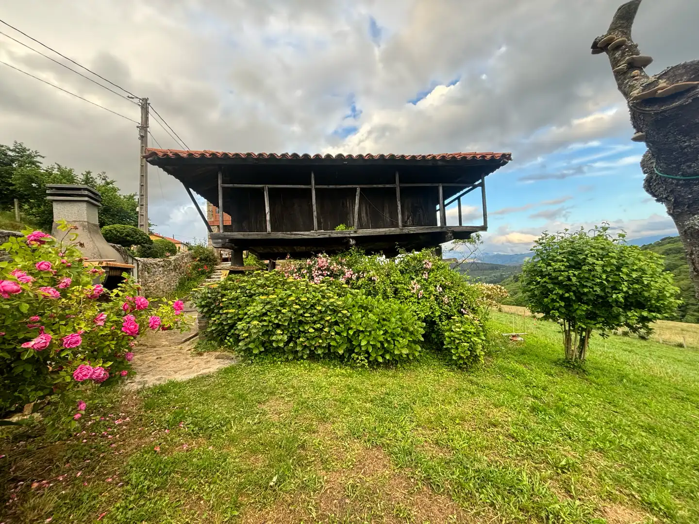 Vista exterior de Finca rústica en venta en Tineo con Jardín privado, Parquet y Terraza