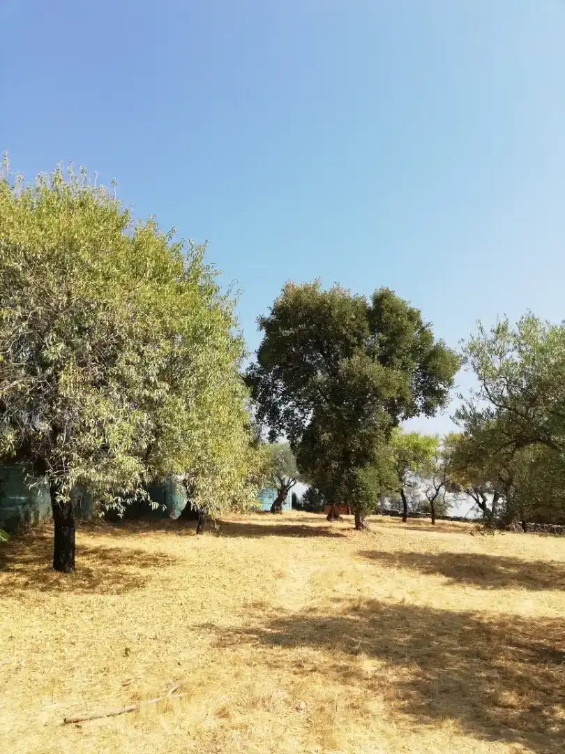 Finca rústica en venda en Plasencia amb Jardí privat, Traster i Piscina