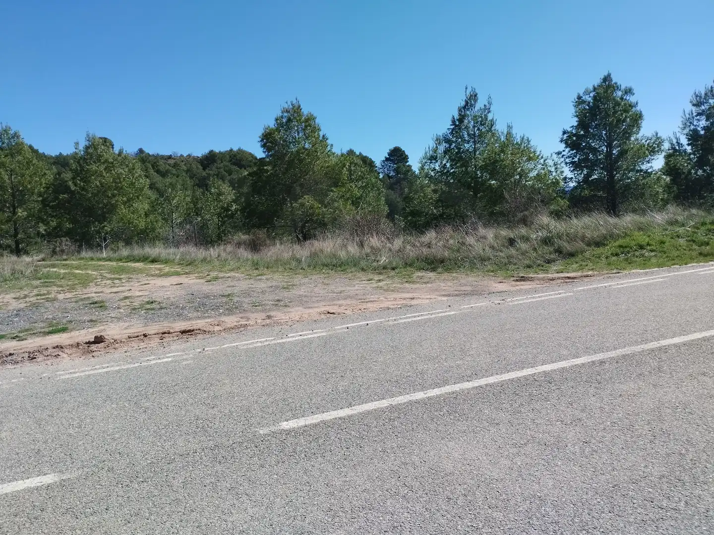 Terreno rústico en venta en La Morera de Montsant, imagen 36