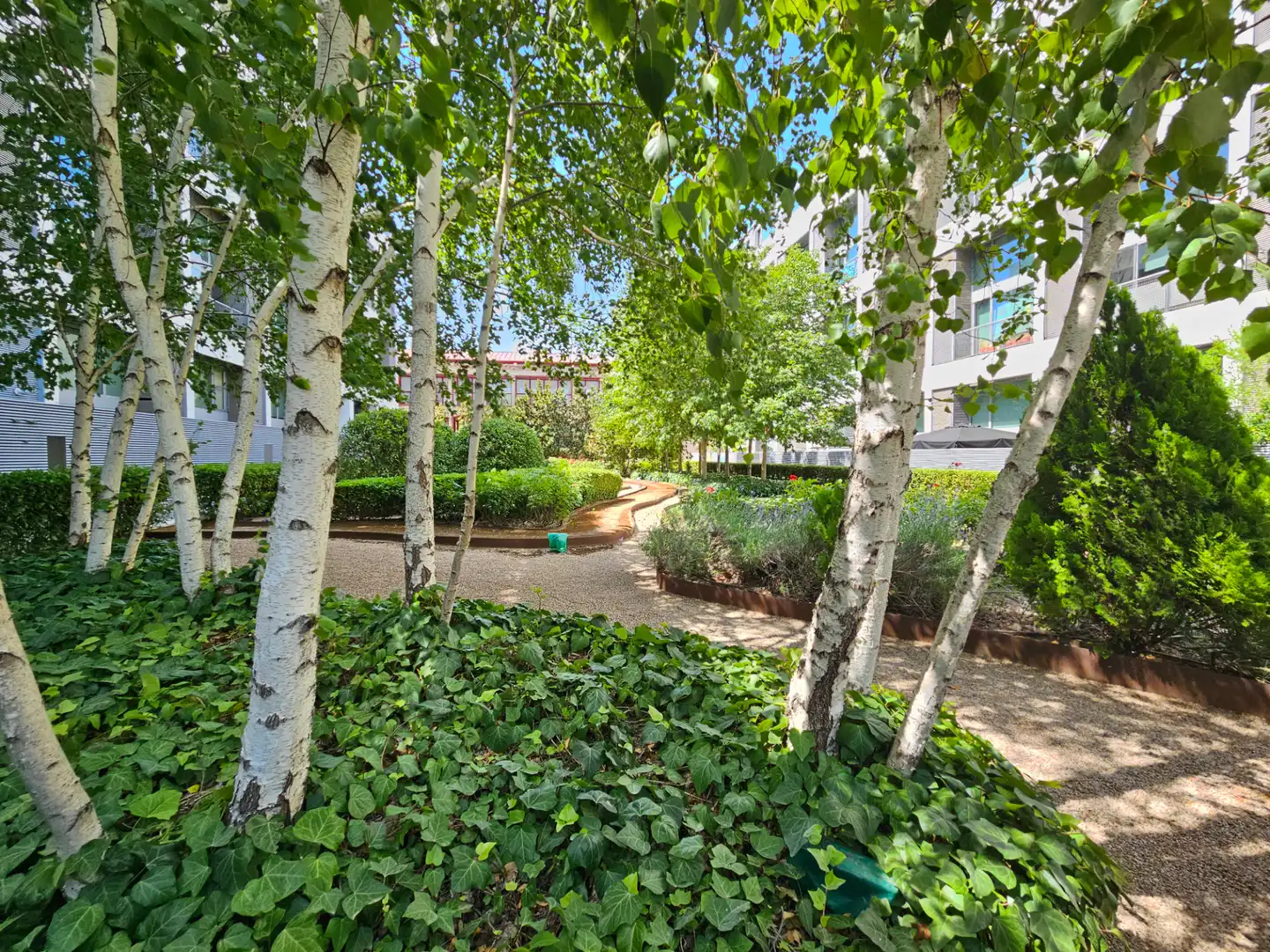 Jardí de Loft en venda en Madrid amb Aire condicionat, Calefacció i Jardí privat