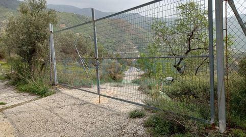 Foto 5 von Grundstücke zur Miete in A-7001, Km. 1, Olías, Málaga Capital