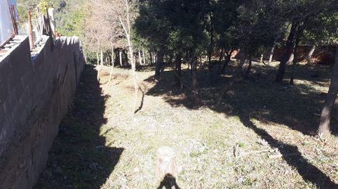 FANTASTICA PARCELA EN VENTA, immagine 4