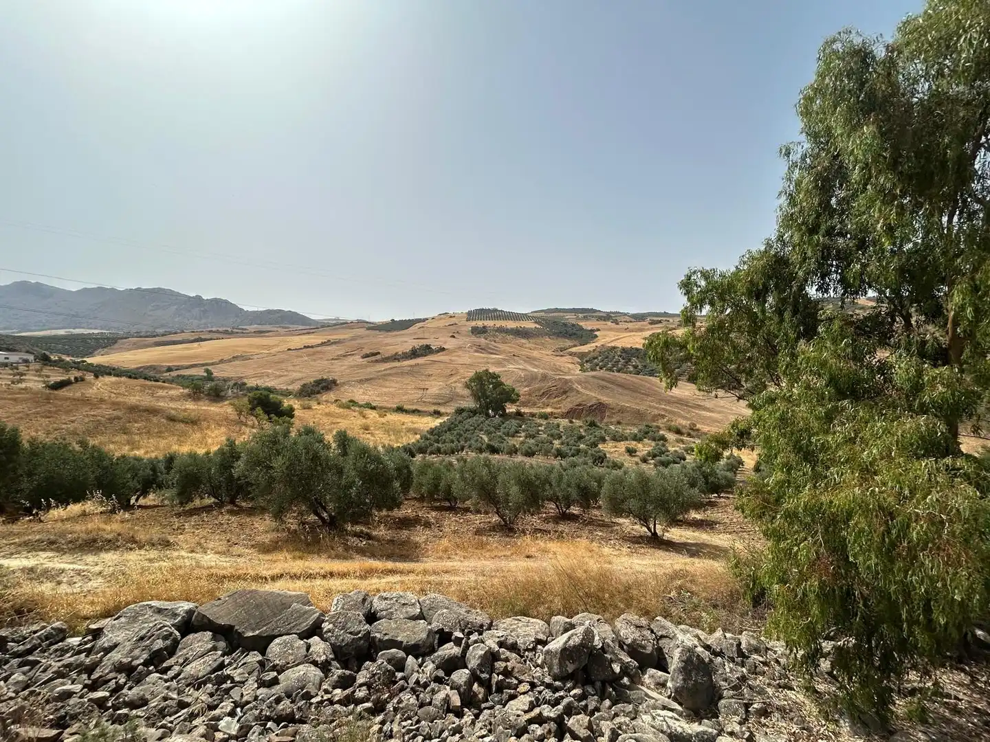 Terreni e lotti in vendita a Zona de la Vega