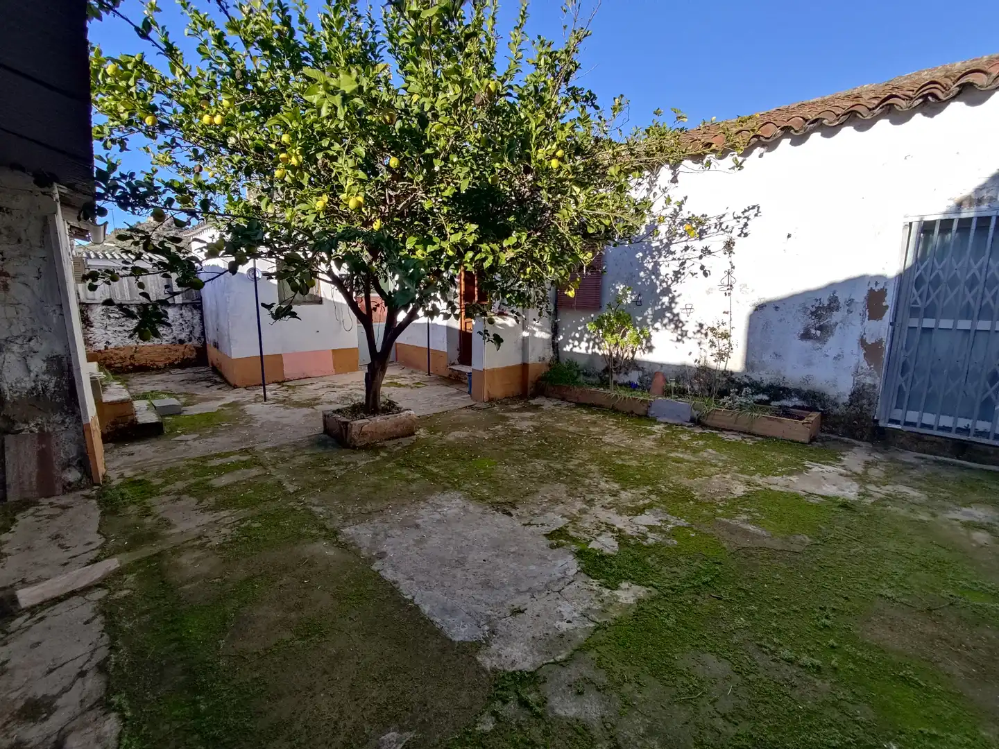 Garden of Houses for sale in Burguillos del Cerro