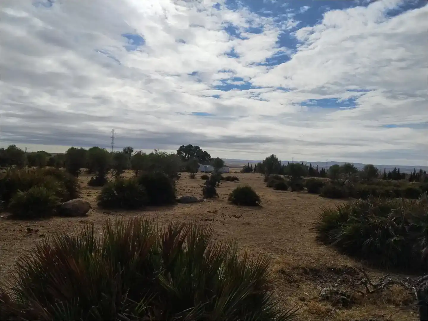 Finca rústica en venda en Gerena