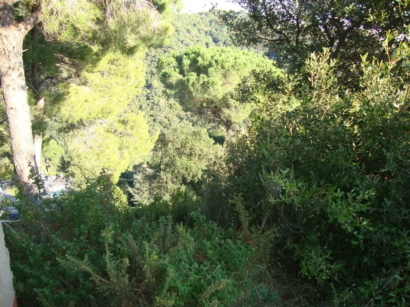 Vista exterior de Residencial en venda en Sant Cebrià de Vallalta