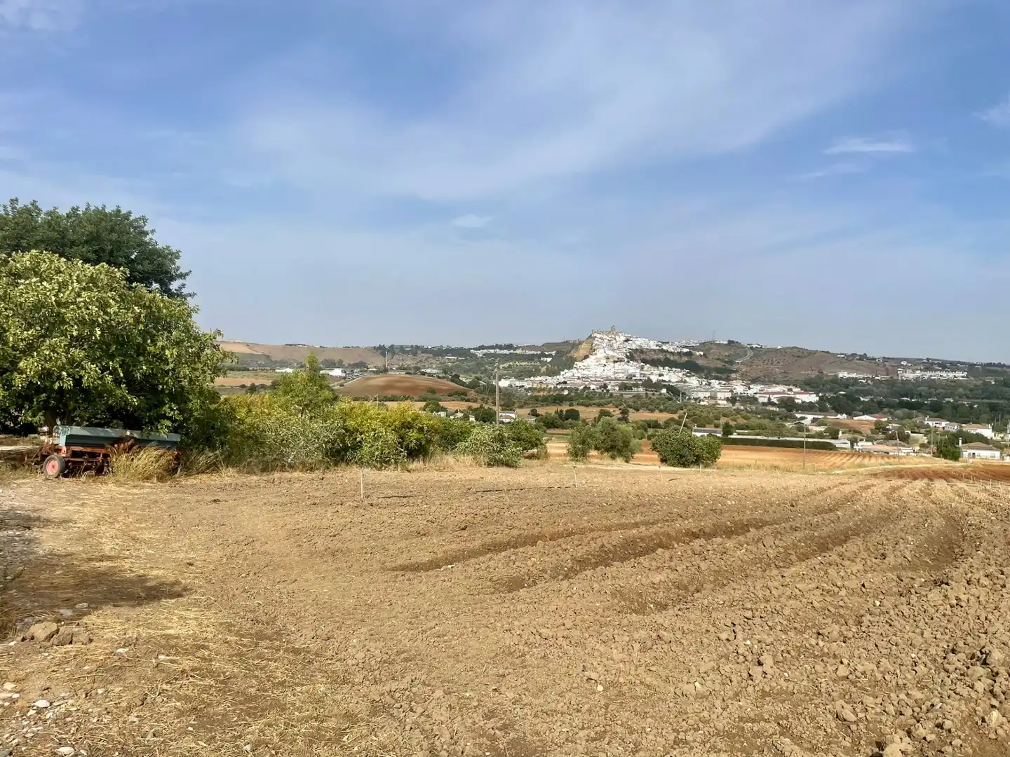 Terreni e lotti in vendita a Arcos de la Frontera, imagen 26