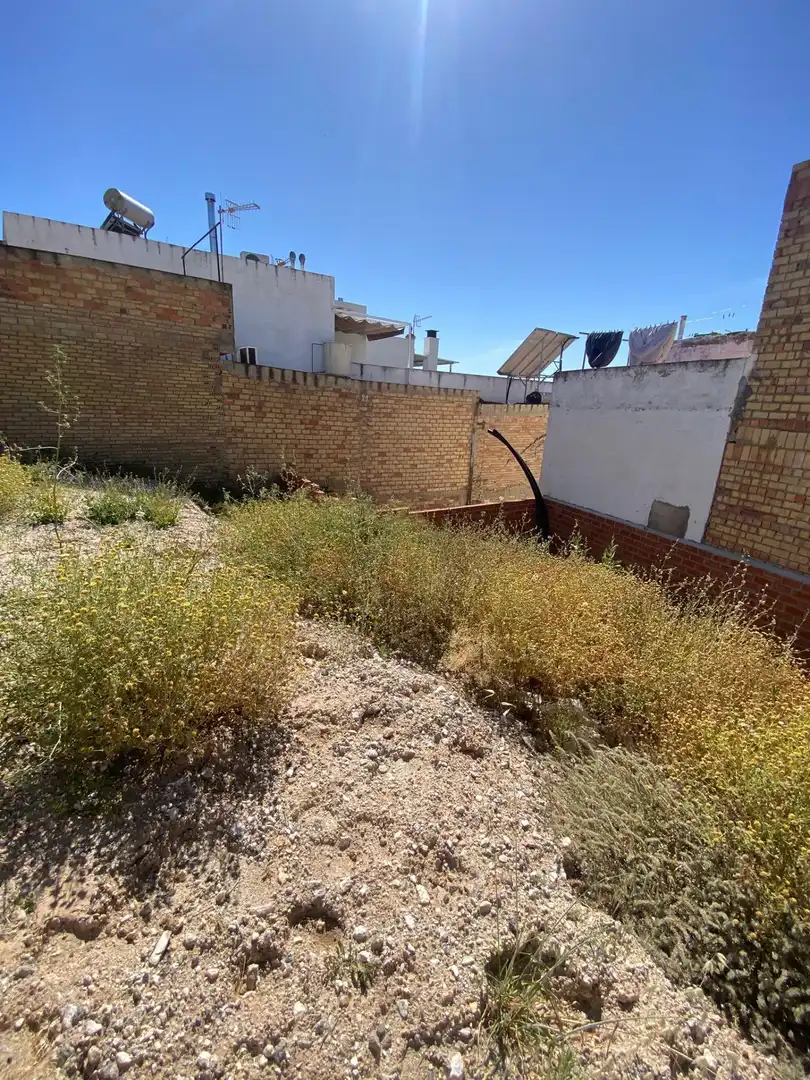 Terreni e lotti in vendita a Morón de la Frontera, imagen 11