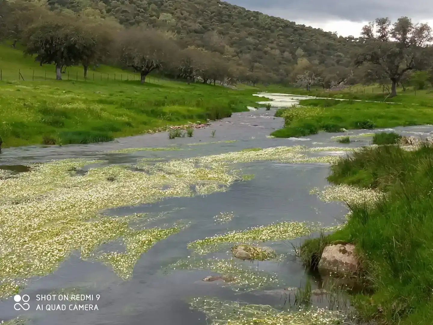 Vista exterior de Finca rústica en venta en Aldeacentenera con Jardín privado