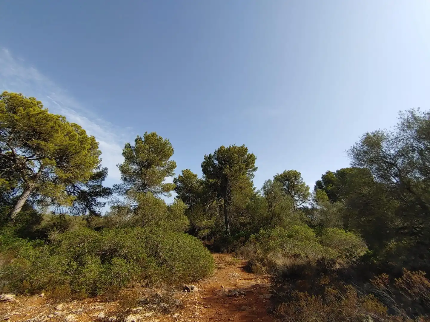 Residencial en venta en Polígono Parcela 12, Cala Pi - Vallgornera
