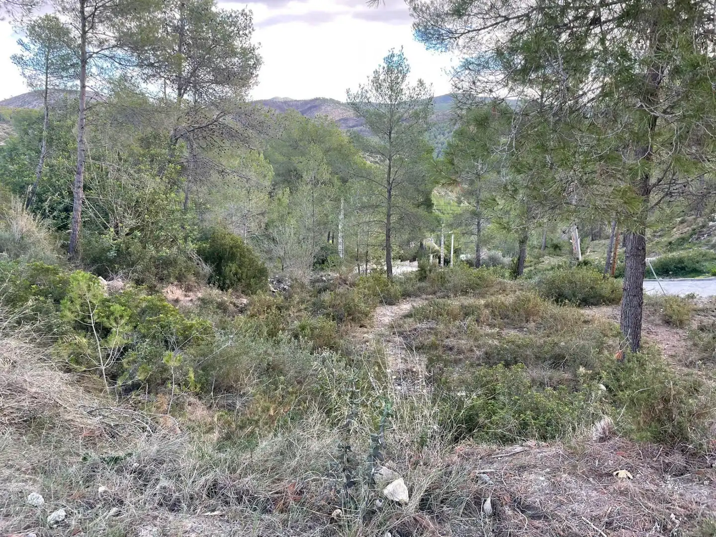 Residential land for sale in Olivella, imagen 4