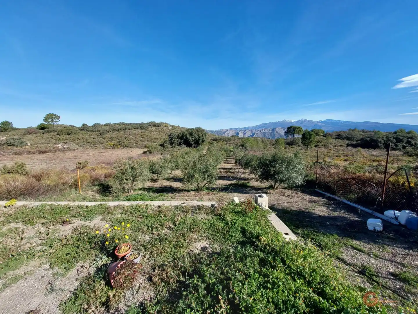 Country homes for sale in Molvízar