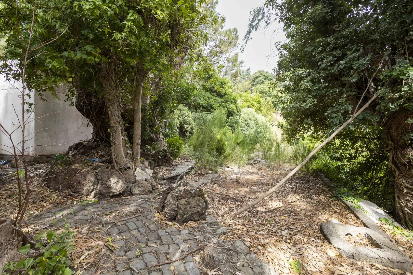 Casa o chalet en venta en El Rosario