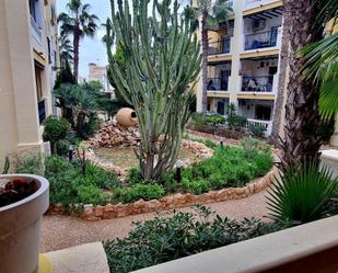 Jardí de Apartament en venda en Torrevieja amb Aire condicionat, Calefacció i Terrassa