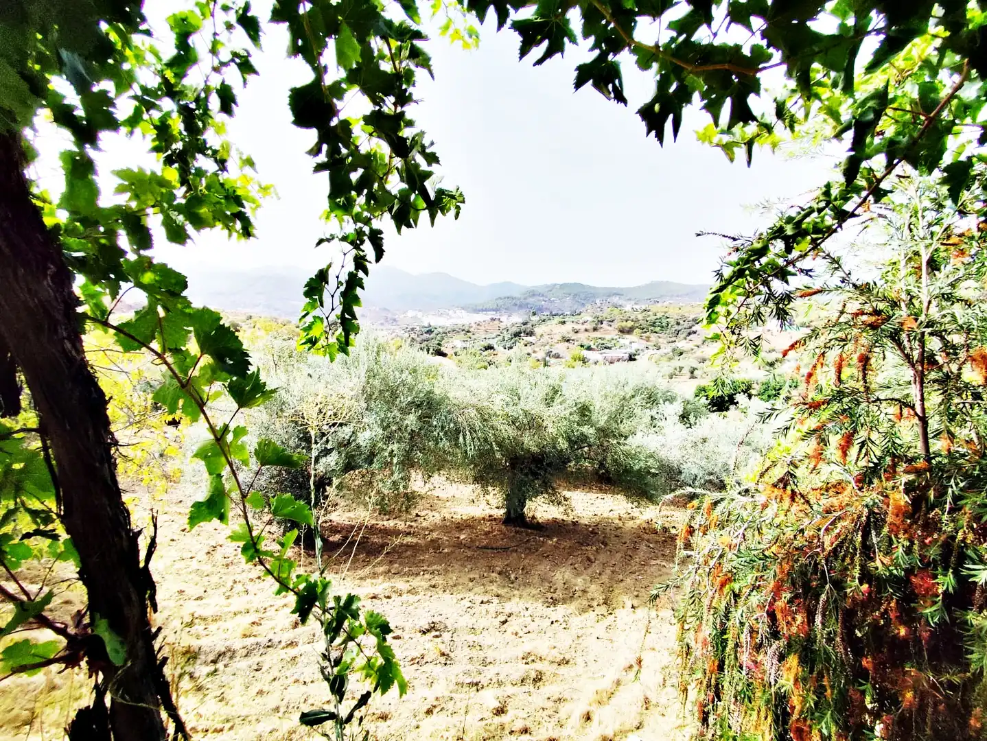 Jardín de Finca rústica en venta en Coín con Jardín privado, Trastero y Amueblado