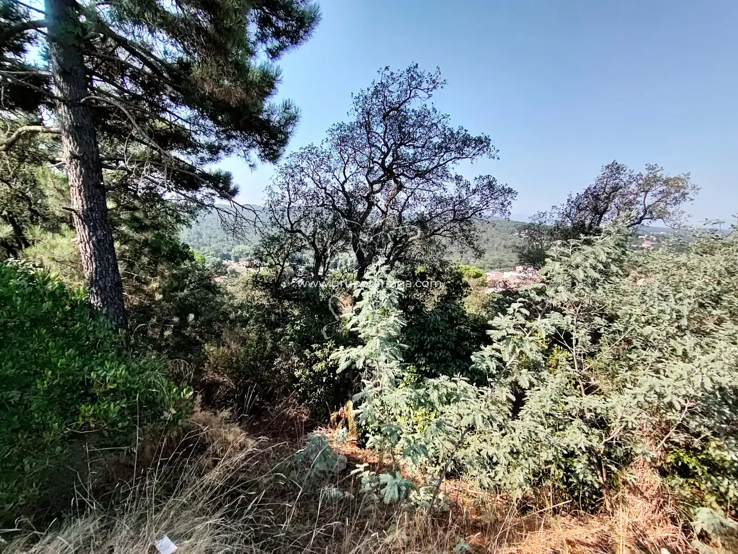 Residential land for sale in Carrer Petúnia 7, imagen 2