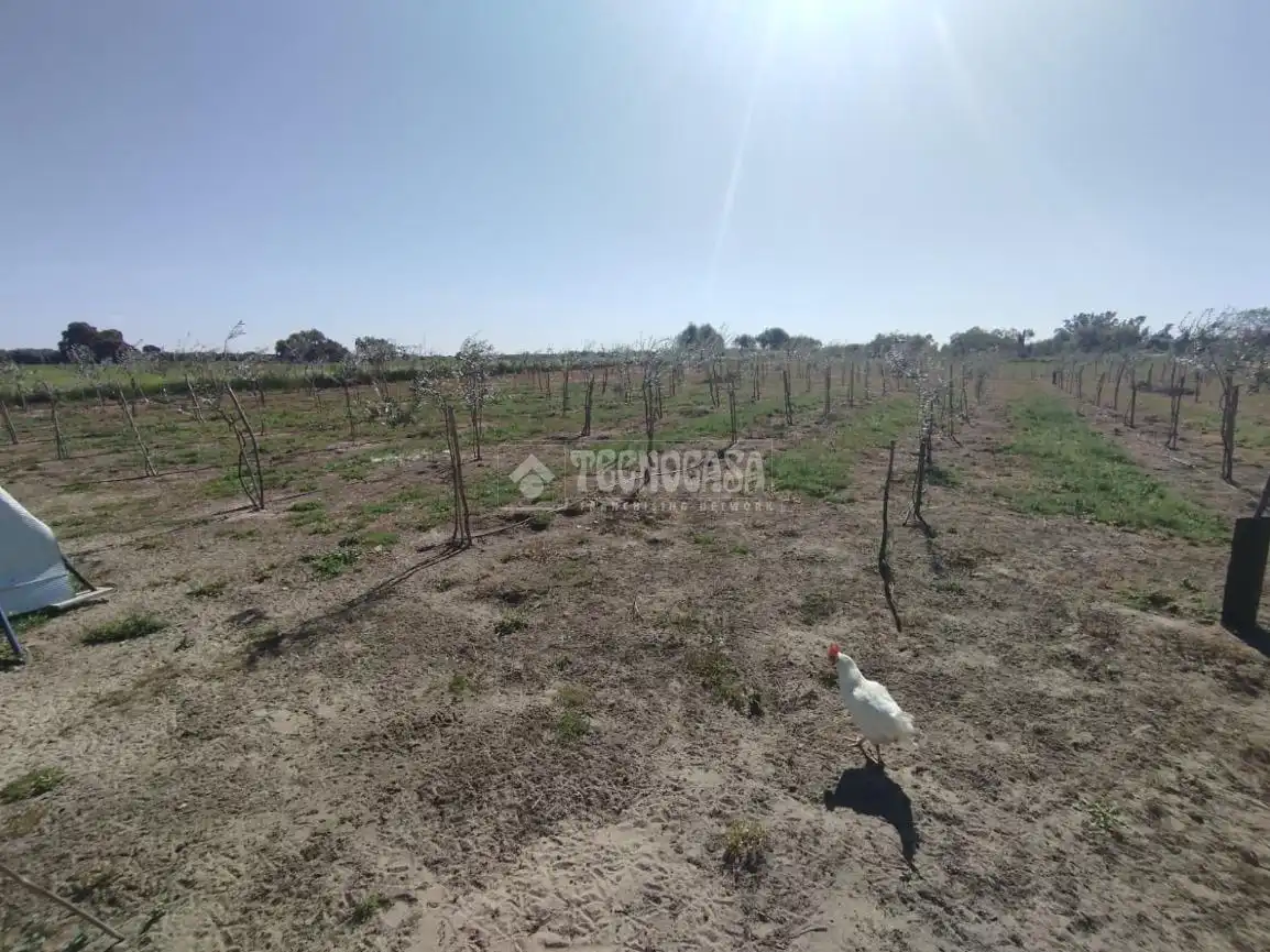 Finca rústica en venda en Marchena amb Moblat