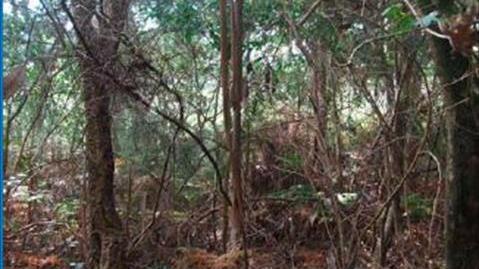 Foto 2 de Terreno en venta en Oleiros, Ribeira