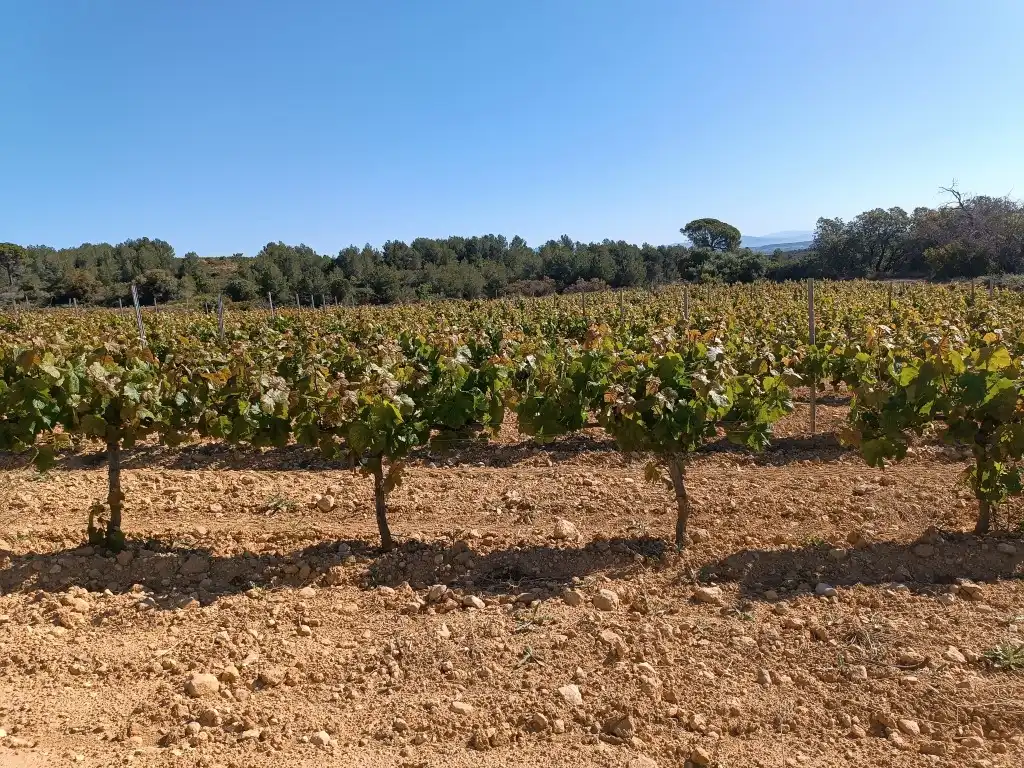 Rustikales Grundstück zum Verkauf in Sant Julià