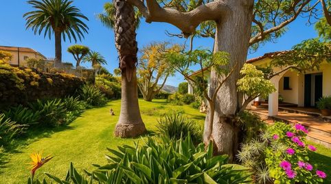 Foto 4 de Casa o xalet en venda a Santa Úrsula pueblo, Santa Úrsula