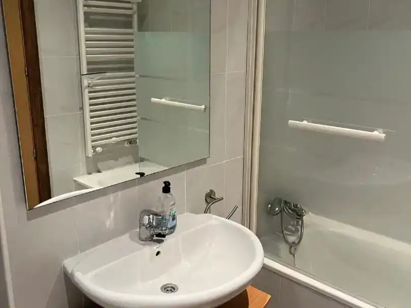 Bany de Planta baixa en venda en Baztan amb Jardí privat, Piscina i Moblat