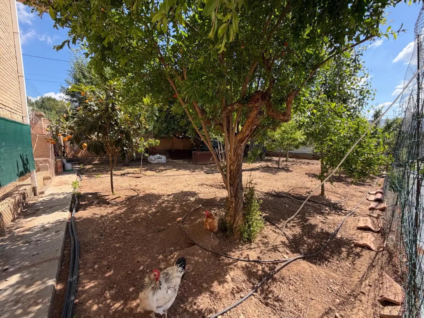 Houses for sale in Llíria  with Heating, Private garden and Terrace