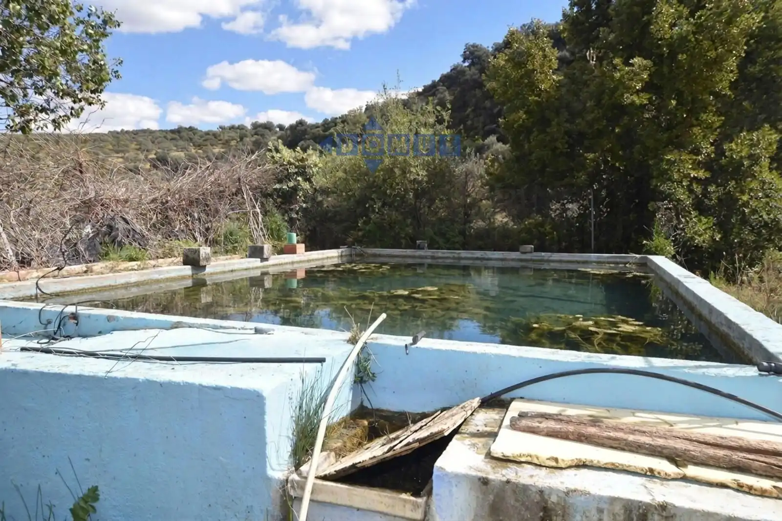 Casa rústica amb piscina en venda a Partidas Norte, imagen 4