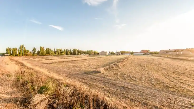 Terreno residencial en venta en ctra Puente Duero Sector 16 Ua1 Parcela 2, imagen 9