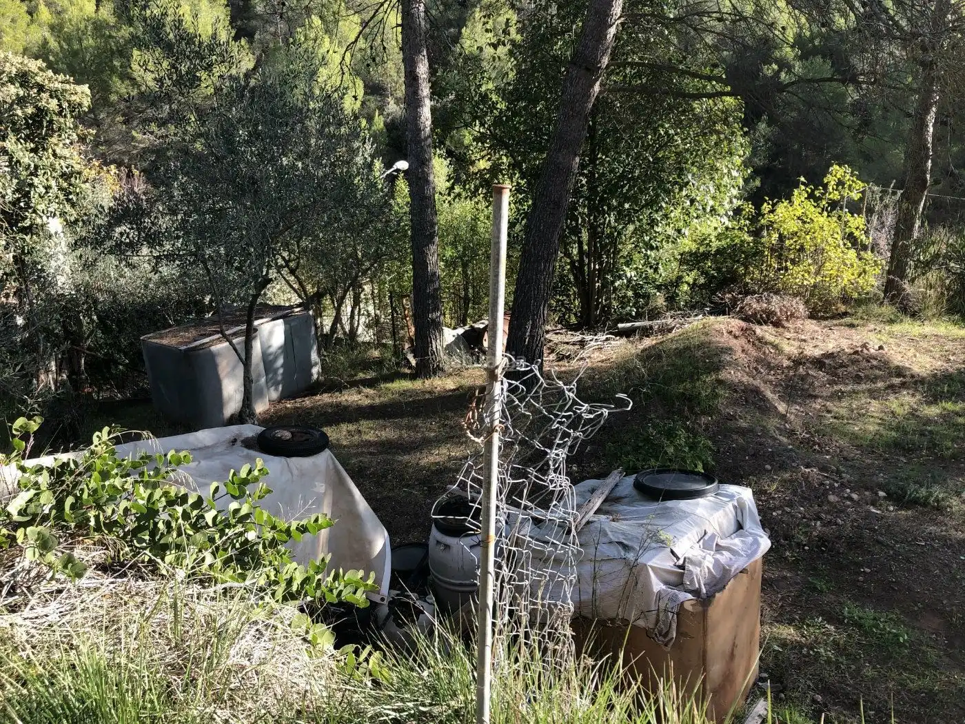 Terrenys i solars en venda a Castellbell i el Vilar, imagen 5