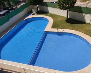 Swimming pool of Flat for sale in Almansa