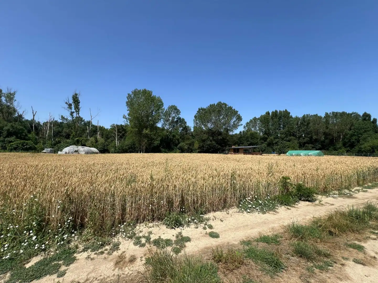 Land for sale in Urroz-Villa