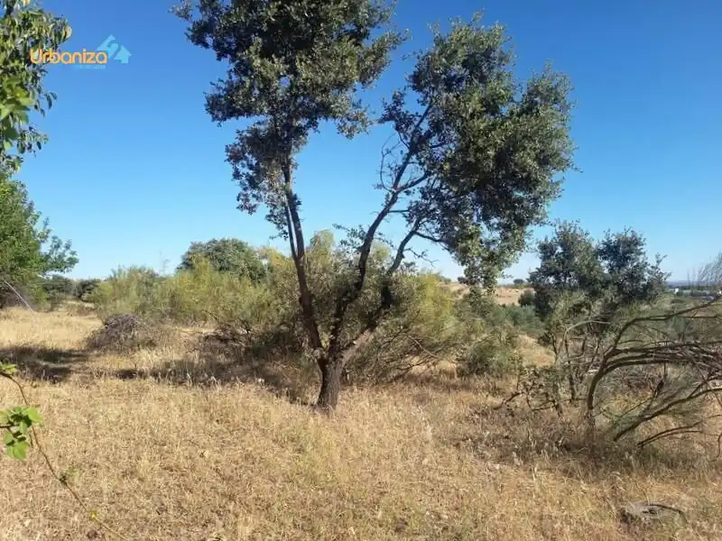 Terreni e lotti in vendita a Camino Viejo de Talavera. km 5