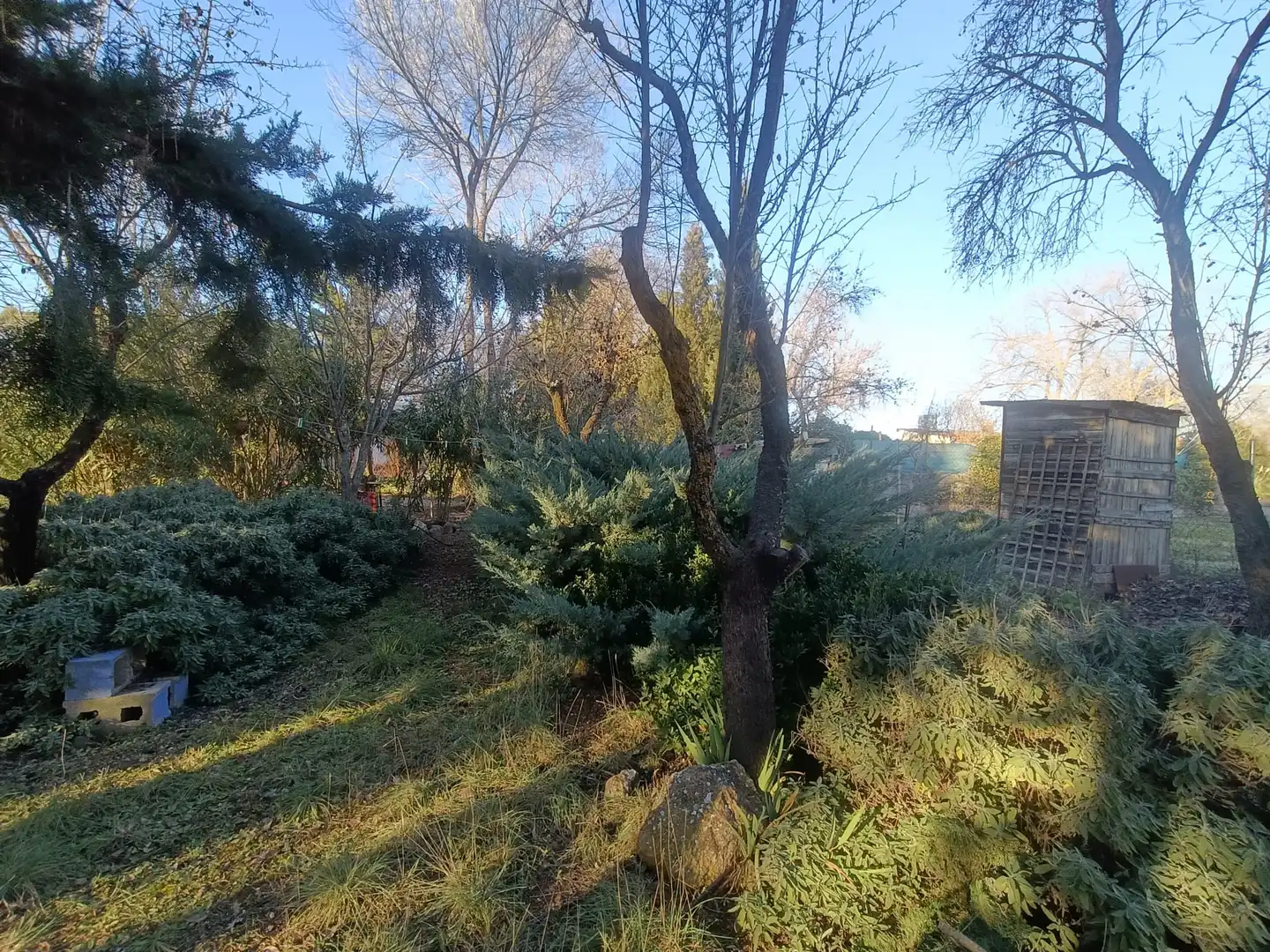 Casa o chalet en venta en Carrión de Calatrava con Jardín privado, Trastero y Amueblado