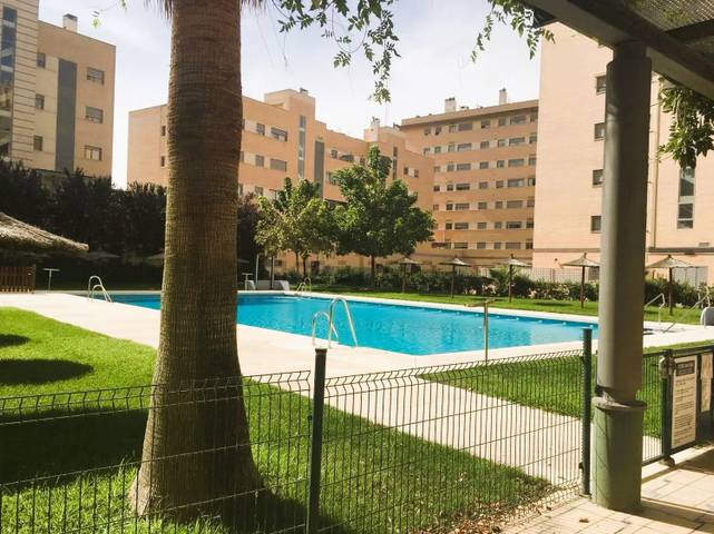 Piso en Alquiler en Campus de la Salud