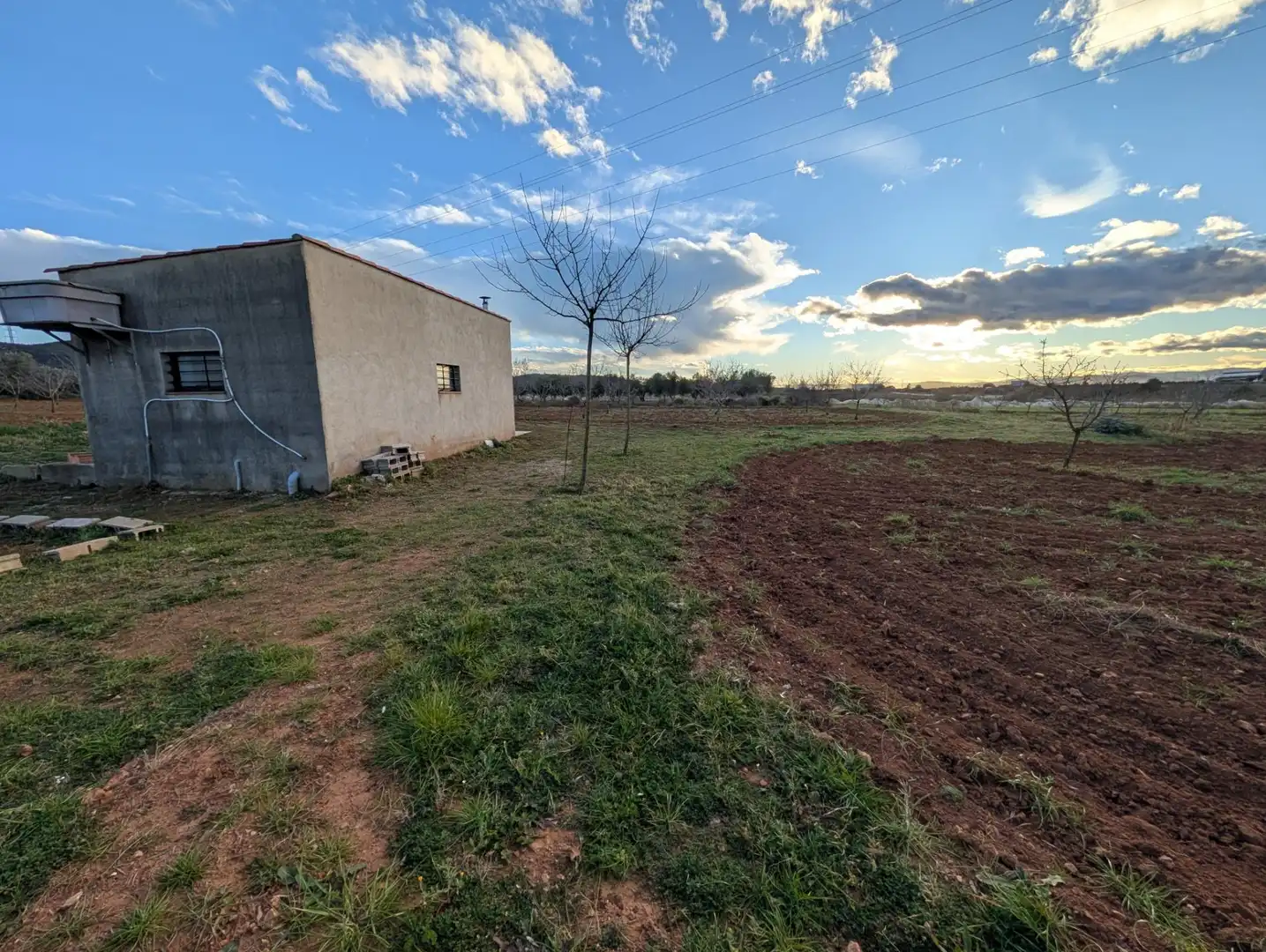 Terreno rustico in vendita a Ulldecona, imagen 16