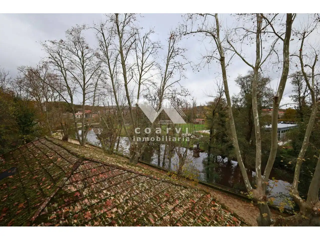 Maison avec jardin à vendre à Paseo Alameda, imagen 6