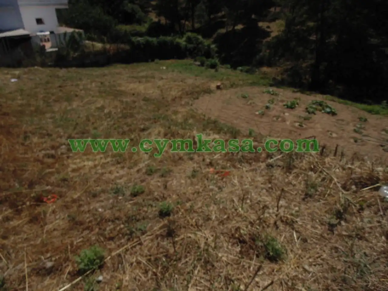 Terreno rustico in vendita a Terrabrava - Tordera Parc, imagen 2
